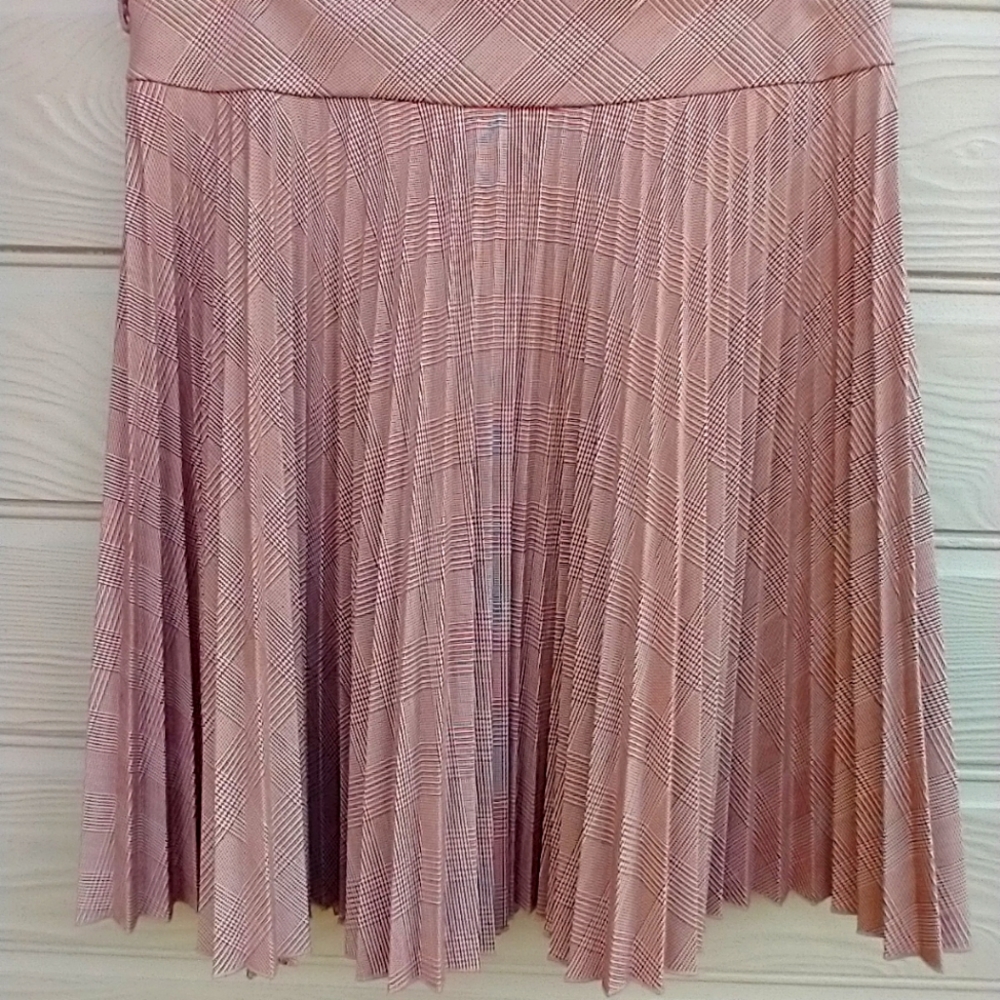 Strawberry pleated skirt